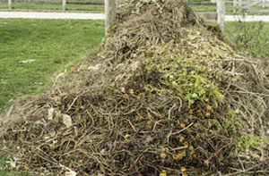 Garden Clearances Near Camborne Cornwall