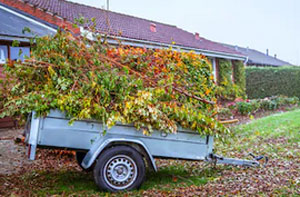 Garden Clearances Near Winchester Hampshire