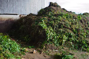 Garden Clearances Near Whitley Bay Tyne and Wear