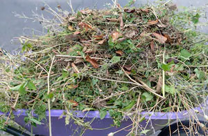 Garden Waste Removal Colwyn Bay UK