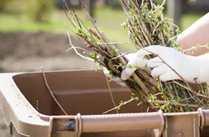 Garden Clearances Near Crewe Cheshire