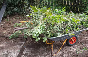 Garden Waste Removal Hedge End UK