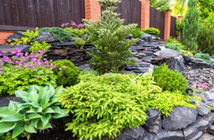 Landscaping South Petherton