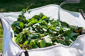 Garden Clearance Bromham Bedfordshire (MK43) Garden Clearance Bromham Bedfordshire (MK43)