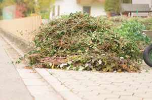 Garden Waste Removal Plymouth UK